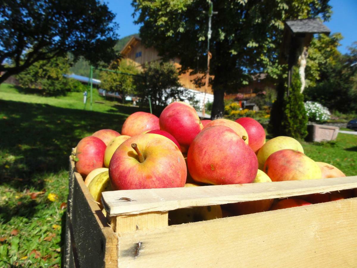 טרנטו Mair Am Graben Farm * Chalets מראה חיצוני תמונה
