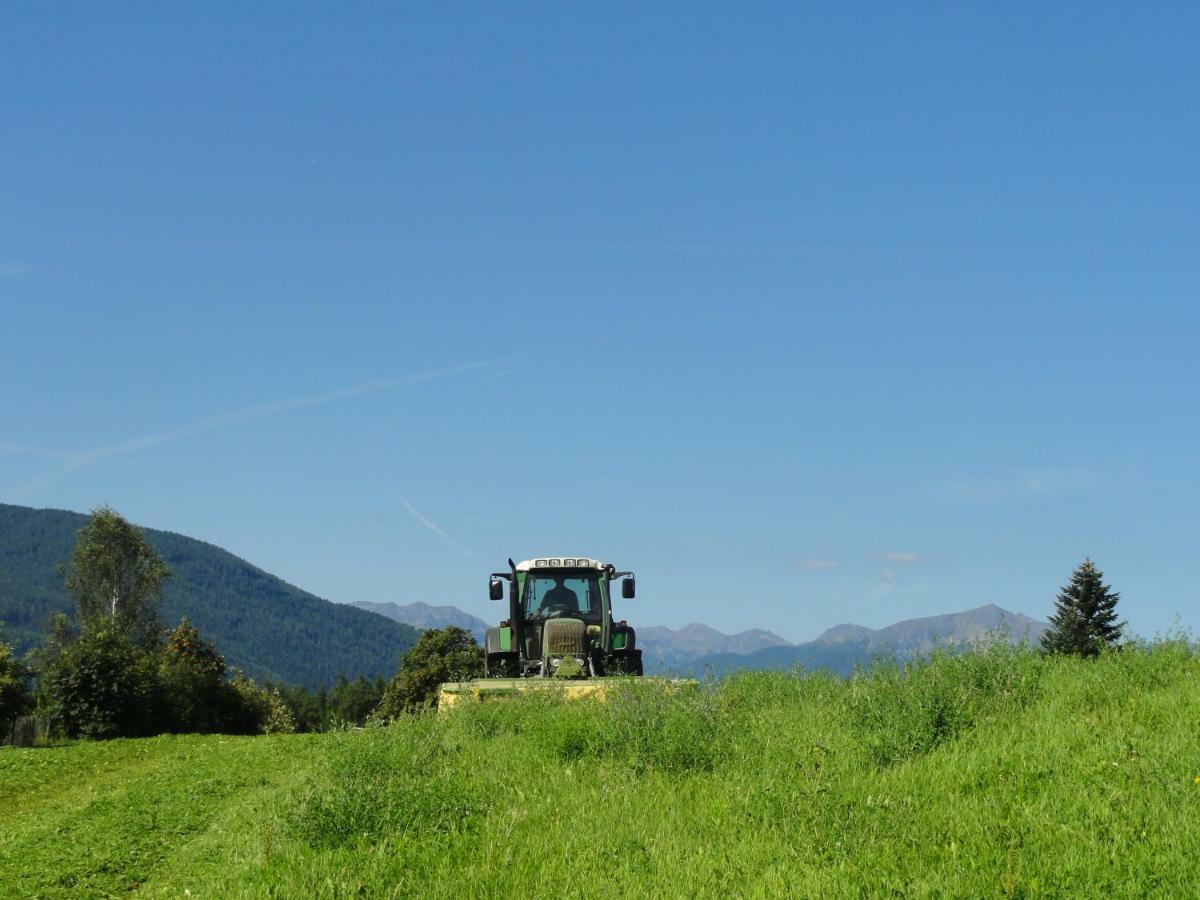 טרנטו Mair Am Graben Farm * Chalets מראה חיצוני תמונה