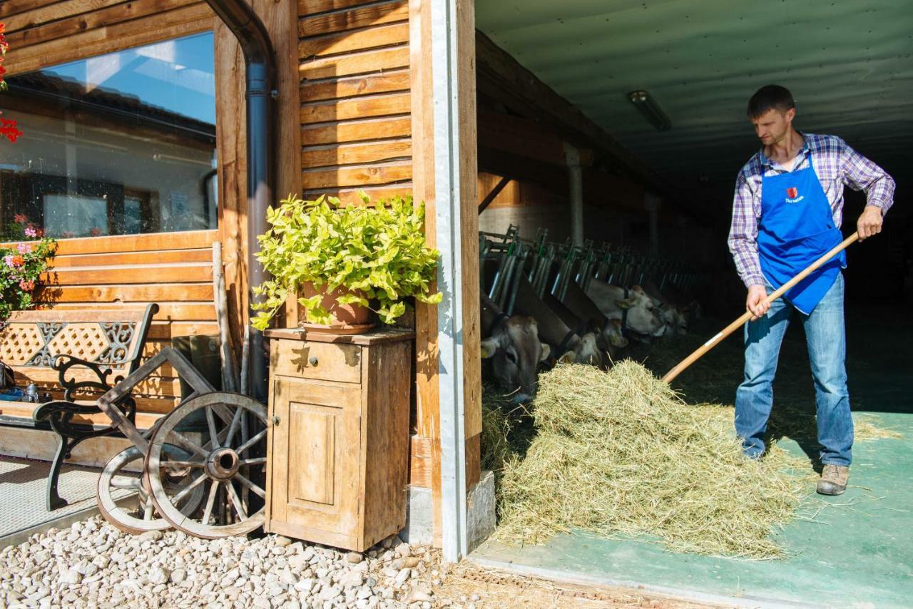 טרנטו Mair Am Graben Farm * Chalets מראה חיצוני תמונה